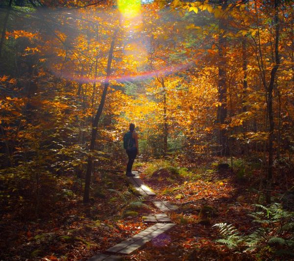 Autumn Means Trails: Beginner Hiking Tips